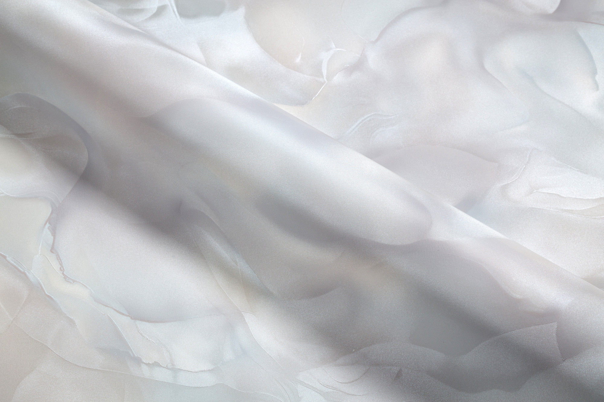 CAT_MACRO_PHOTOnI_HC72452-28_(5)