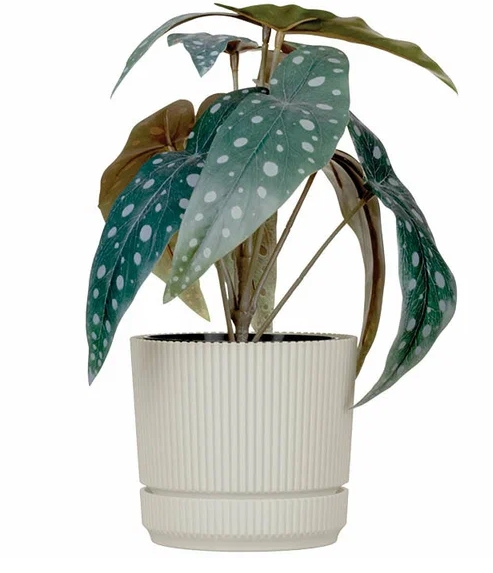 Снимок экрана_13-5-2025_85623_yandex.ru