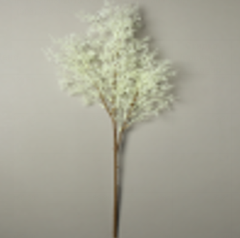 Снимок экрана 2025-09-25 155518