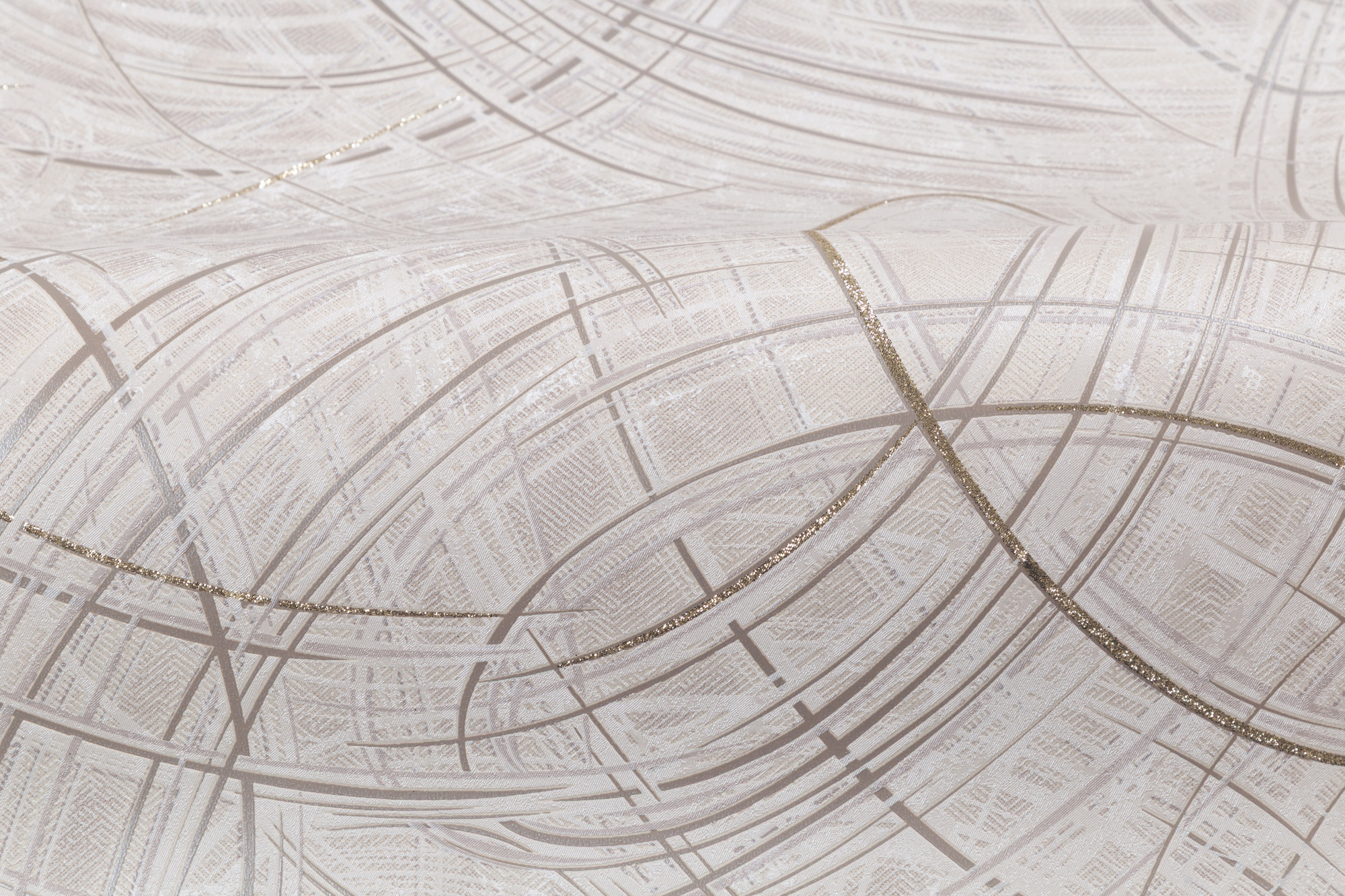 CAT_MACRO_PHOTObI_PL81592-25_(4)