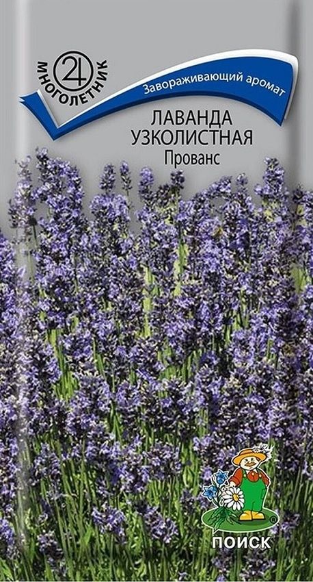 семена_лаванда_прованс_узколистная_0_1гр_поиск_1.jpg