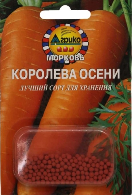 Королева 2024-09-19 144219