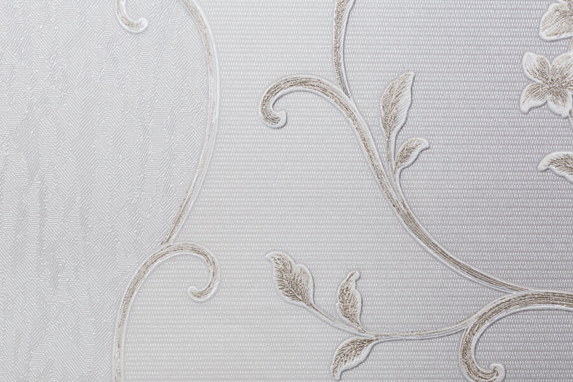 CAT_MACRO_PHOTOxI_HC31235-24_(2)