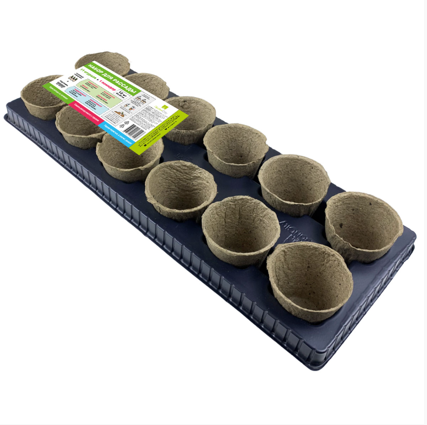 Снимок экрана 2025-01-22 090535