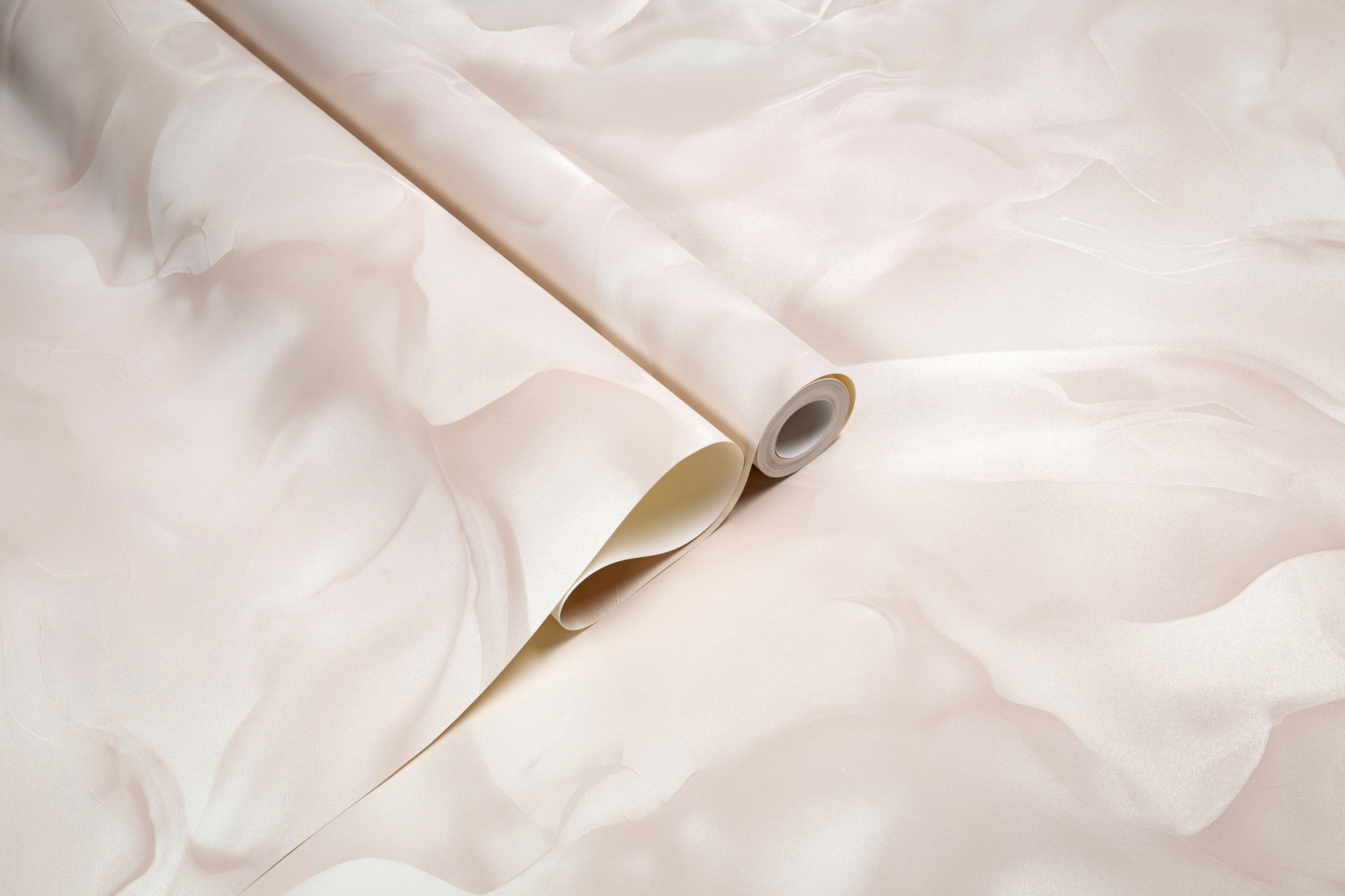 CAT_MACRO_PHOTOgI_HC72452-22_(6)