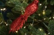 Снимок экрана 2024-12-04 123021