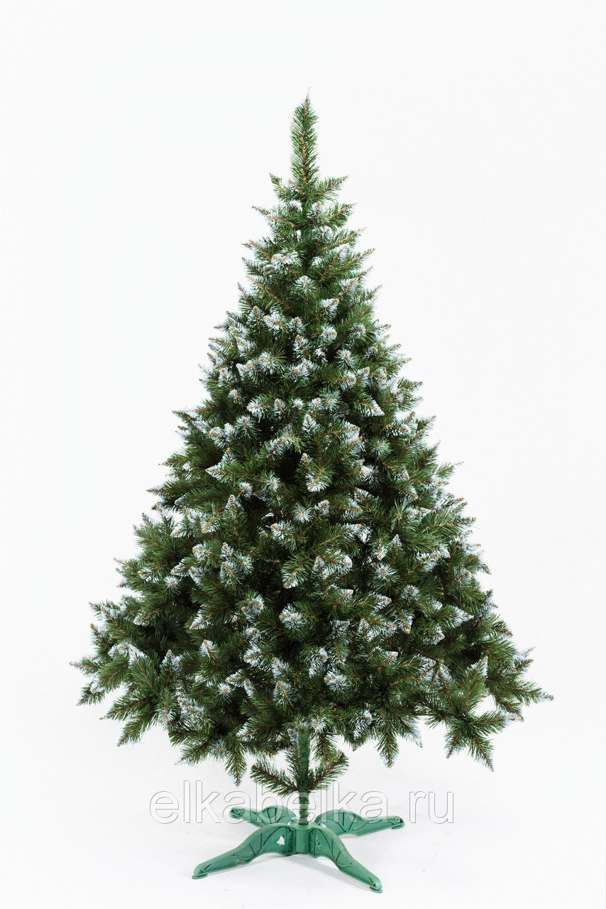 559845867_w640_h640_rozhd_210