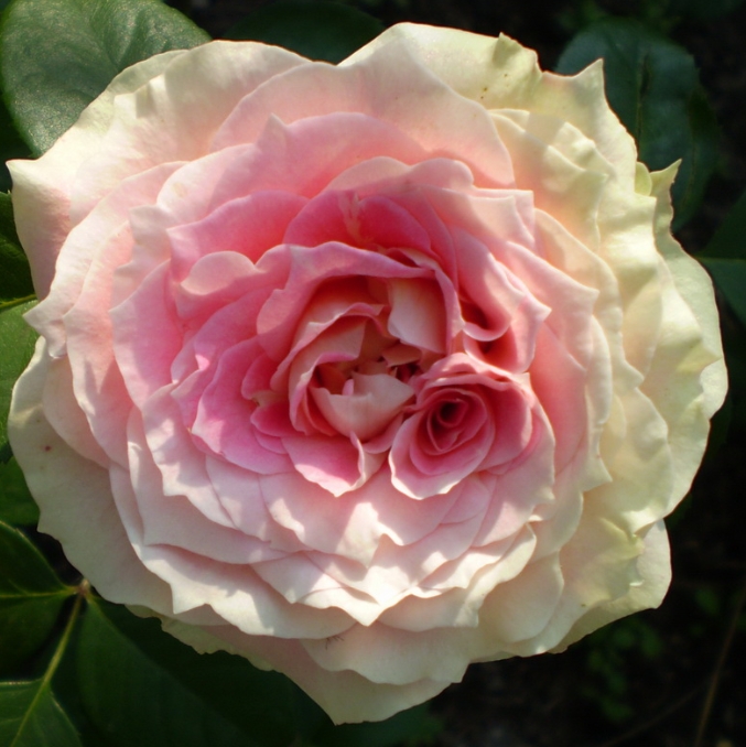 Снимок экрана_21-2-2025_91920_spark63.ru