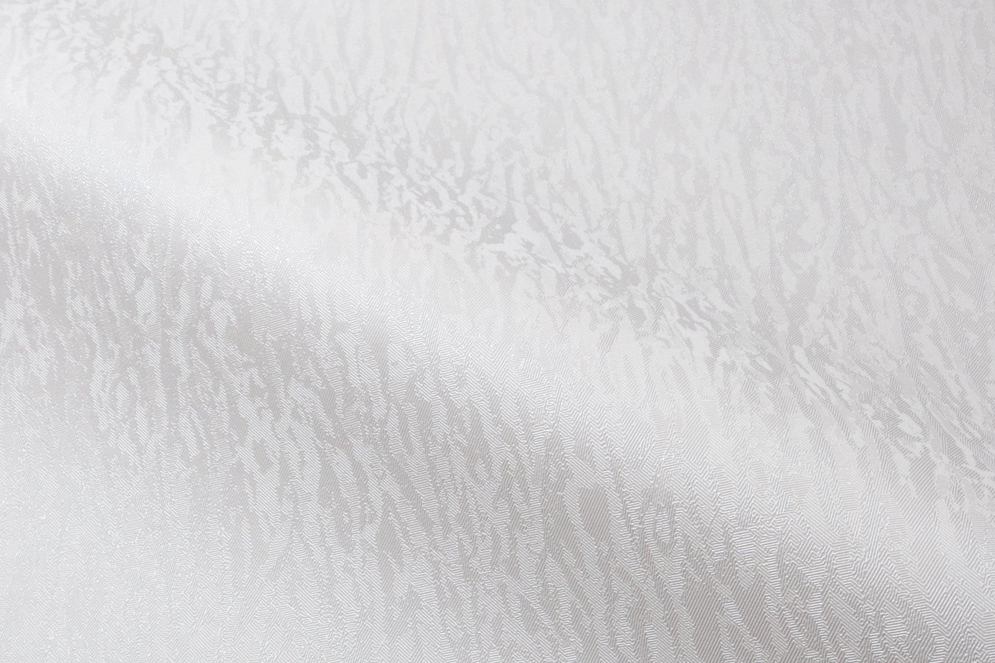 CAT_MACRO_PHOTOpI_HC31236-24_(4)