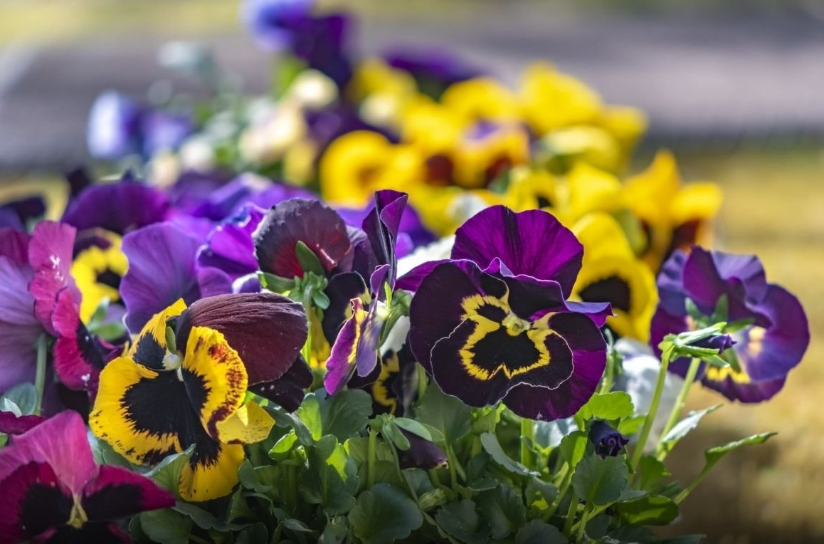 Снимок экрана 2026-04-14 173021