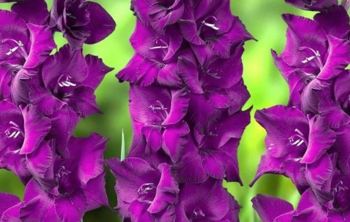 Снимок экрана 2025-02-18 092807