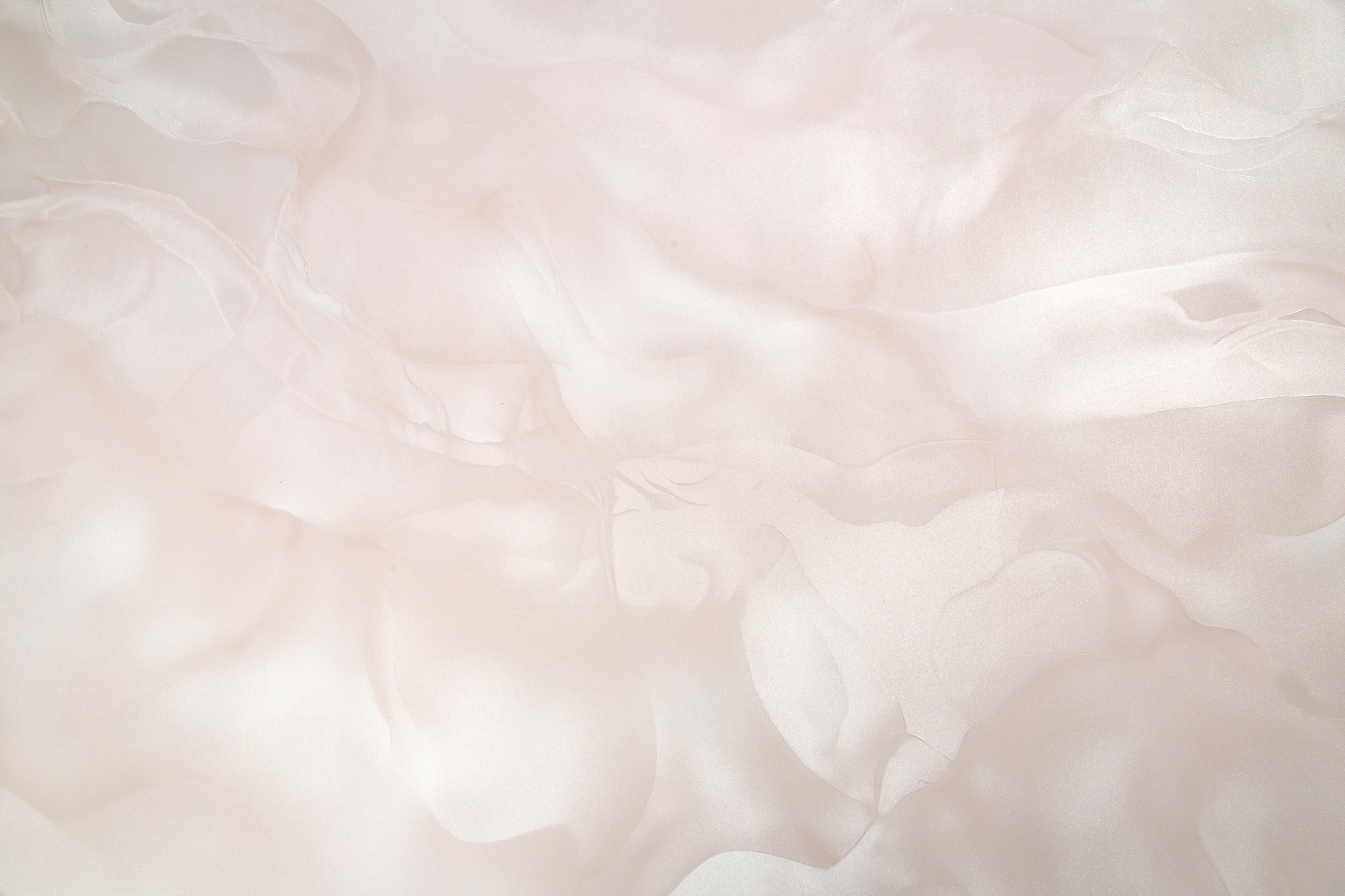 CAT_MACRO_PHOTOyI_HC72452-22_(1)