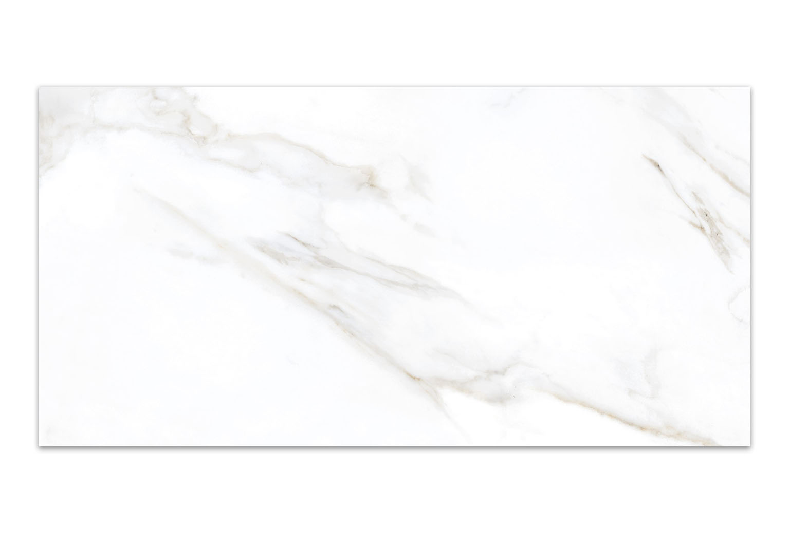 Без имени-1 (1)