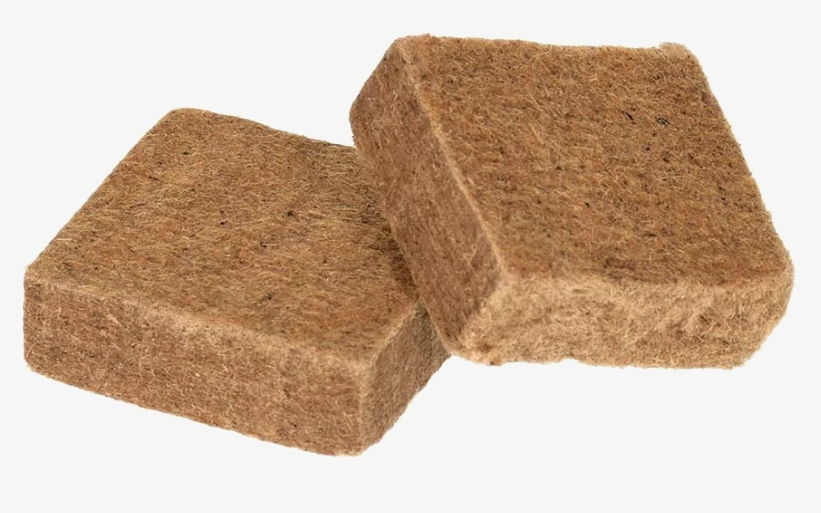 Снимок экрана_13-3-2025_135646_chikiriki.ru