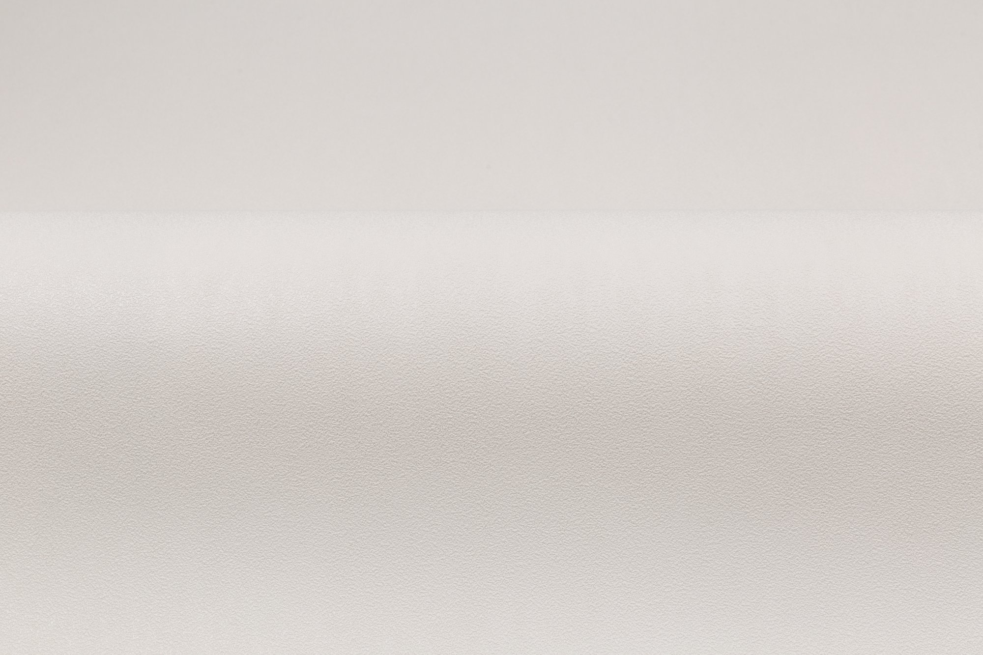 CAT_MACRO_PHOTOfI_HC72304-12_(3)