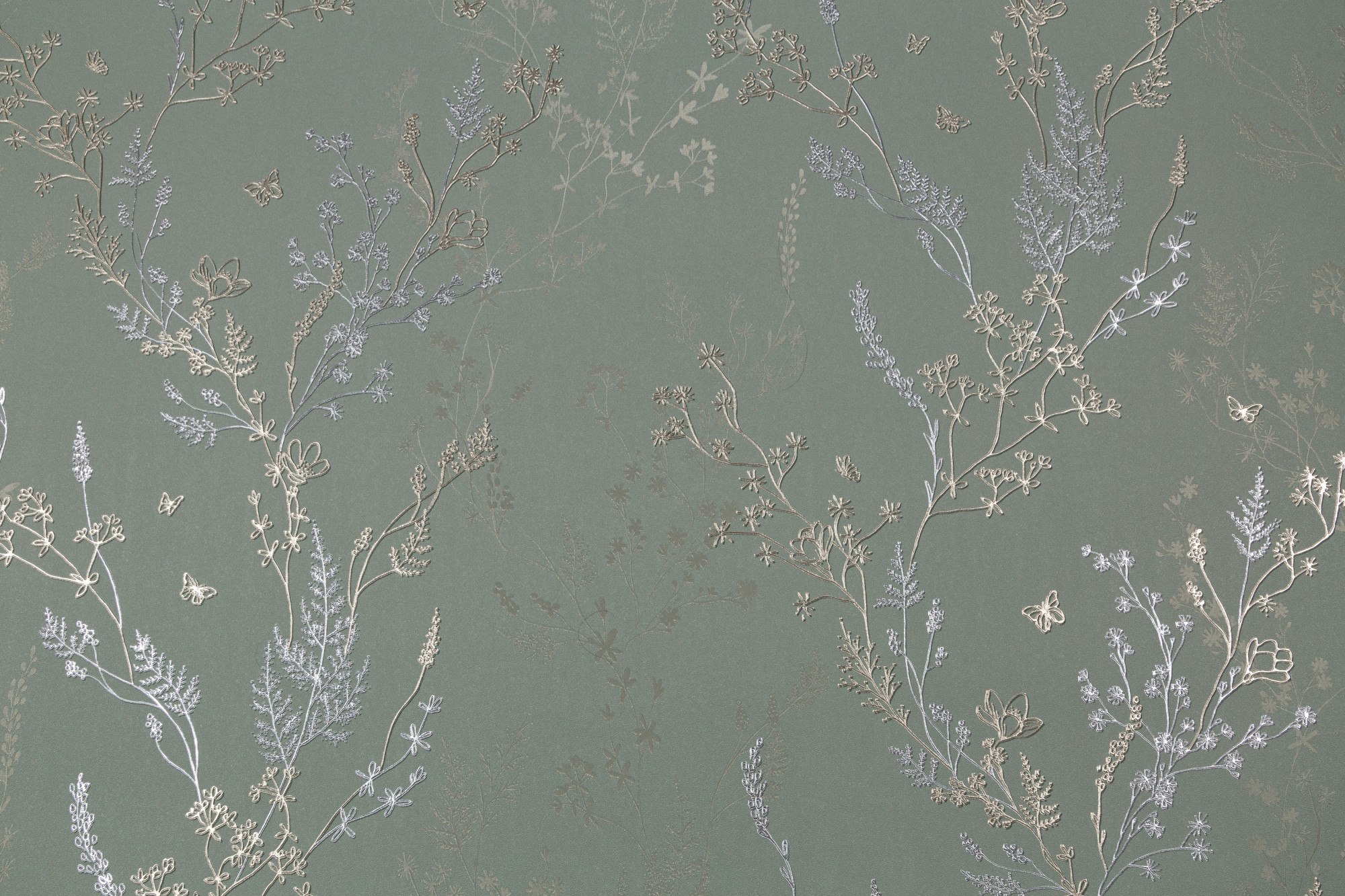 CAT_MACRO_PHOTOxI_HC72414-74_(1)