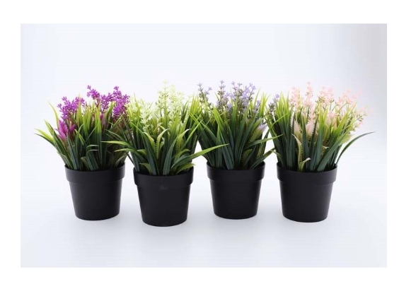 Снимок экрана_2-4-2025_83351_tomlad.ru