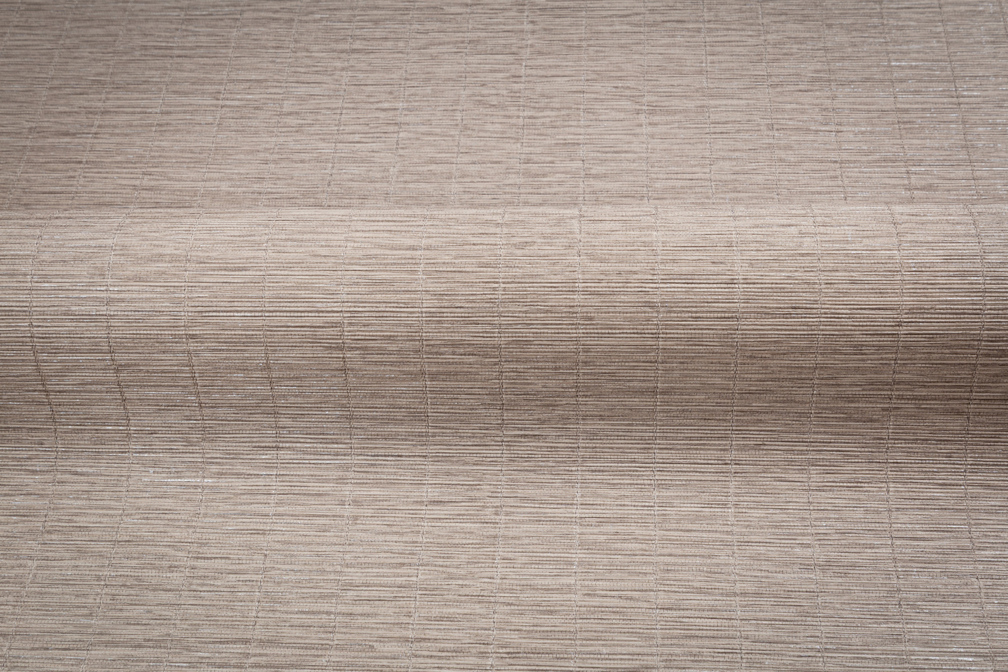 CAT_MACRO_PHOTOlI_TC72457-48_(3)