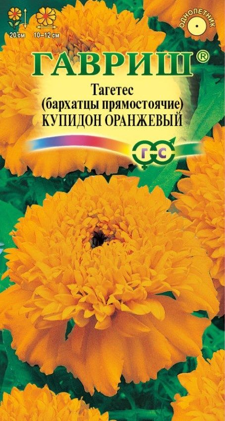 o3j9q4putd7xnrnx7p0eo2pwhrbpv4qw