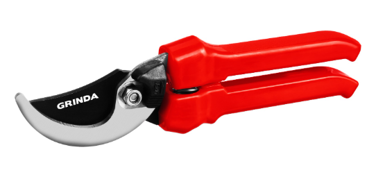 Снимок экрана 2025-03-19 184211