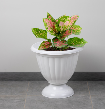 Снимок экрана 2025-03-29 123936