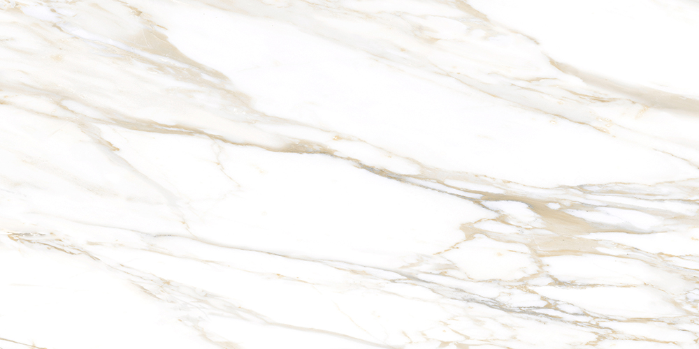 o2hvorbbs634goldfiir73vdksqhw3dk