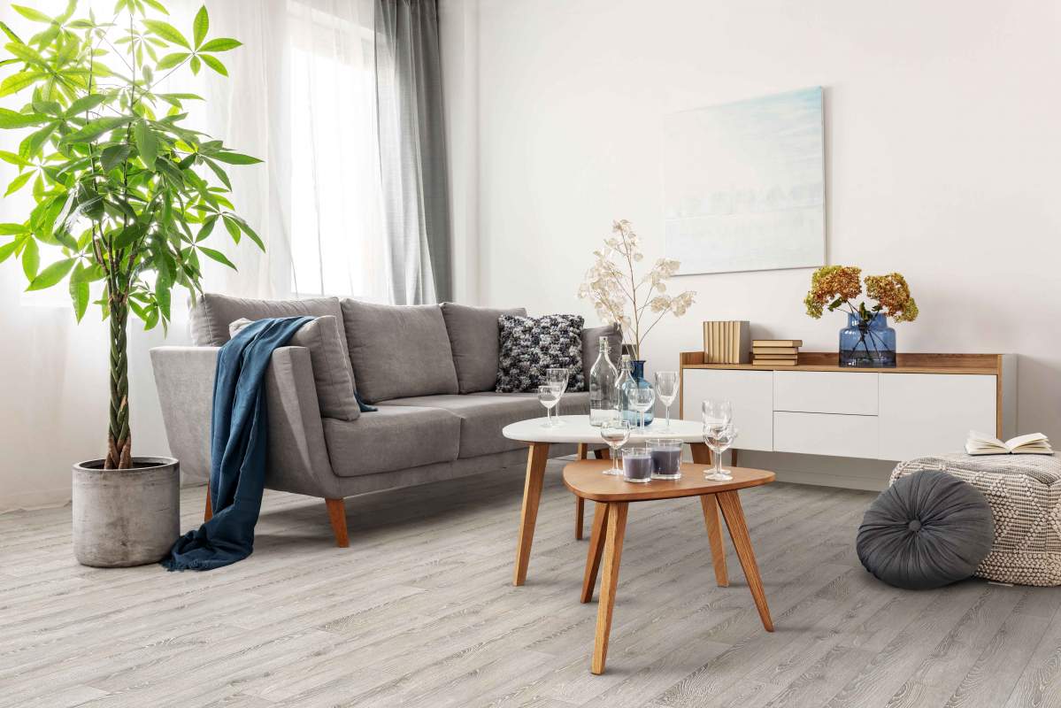 71204c852d00fa663455fb7496ae2754