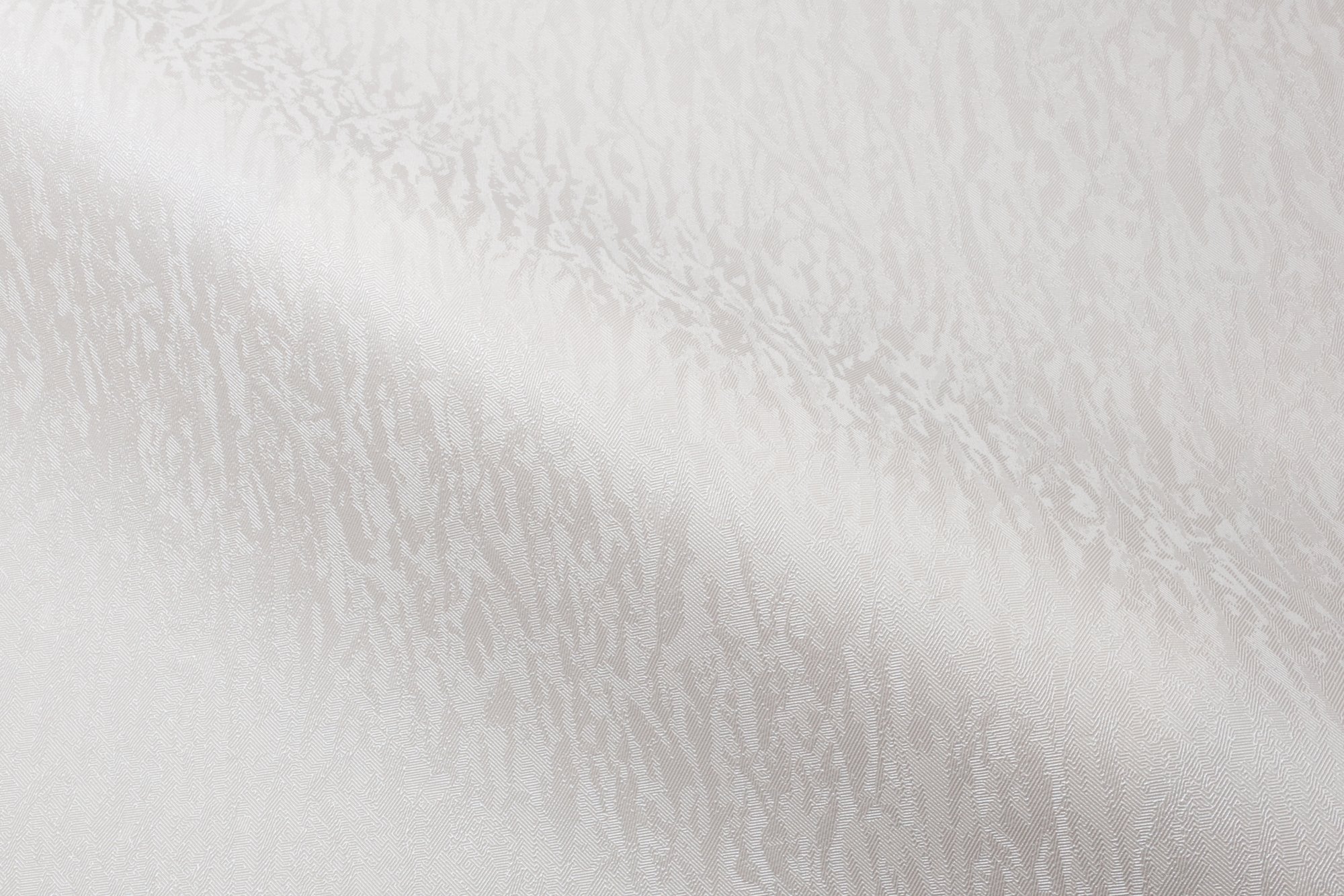 CAT_MACRO_PHOTOwI_HC31236-21_(4)