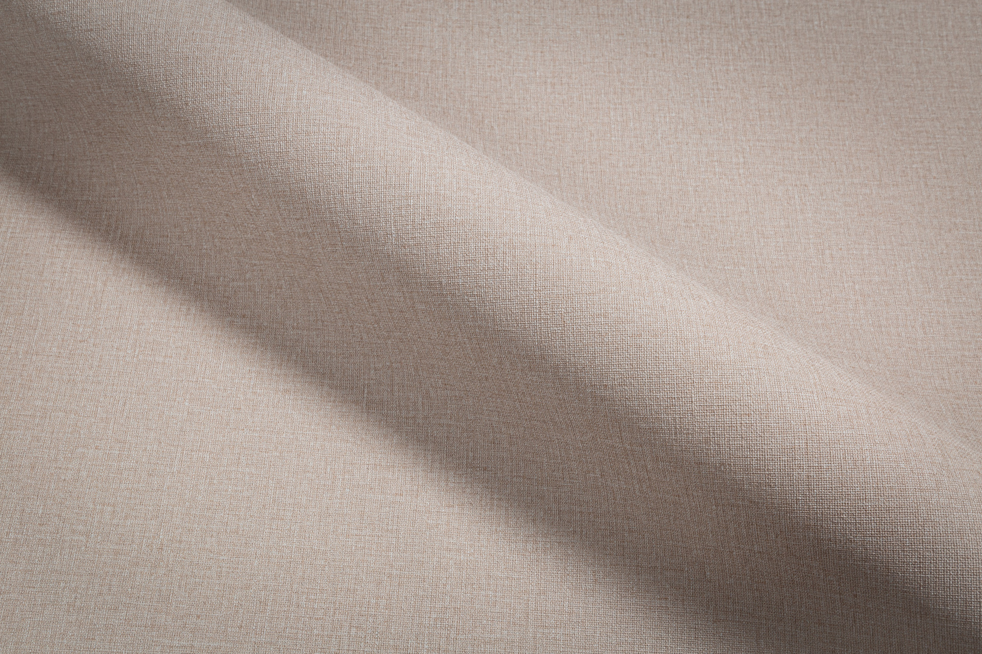 CAT_MACRO_PHOTOaI_TC72460-48_(4)