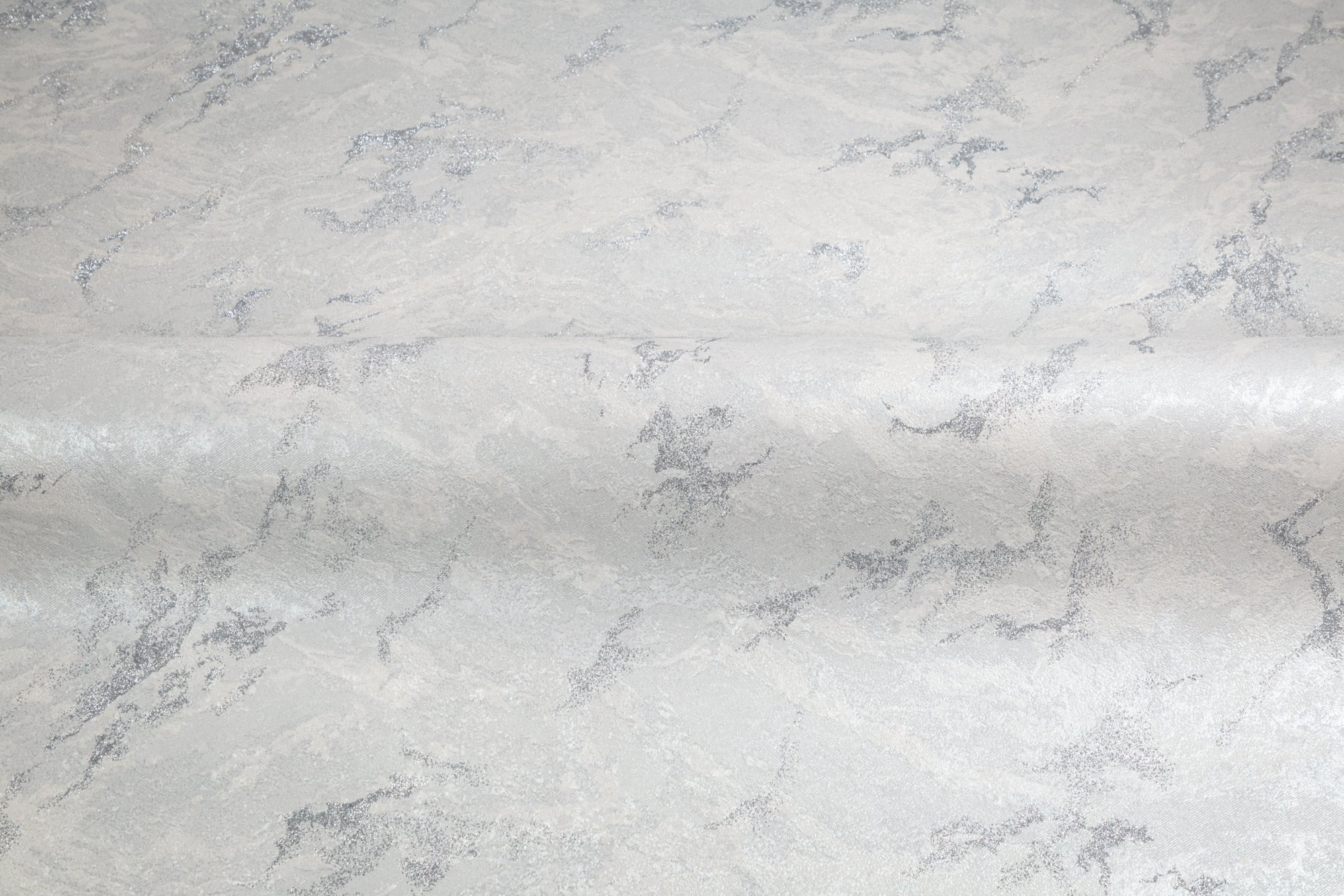 CAT_MACRO_PHOTOgI_HC72438-14_(3)