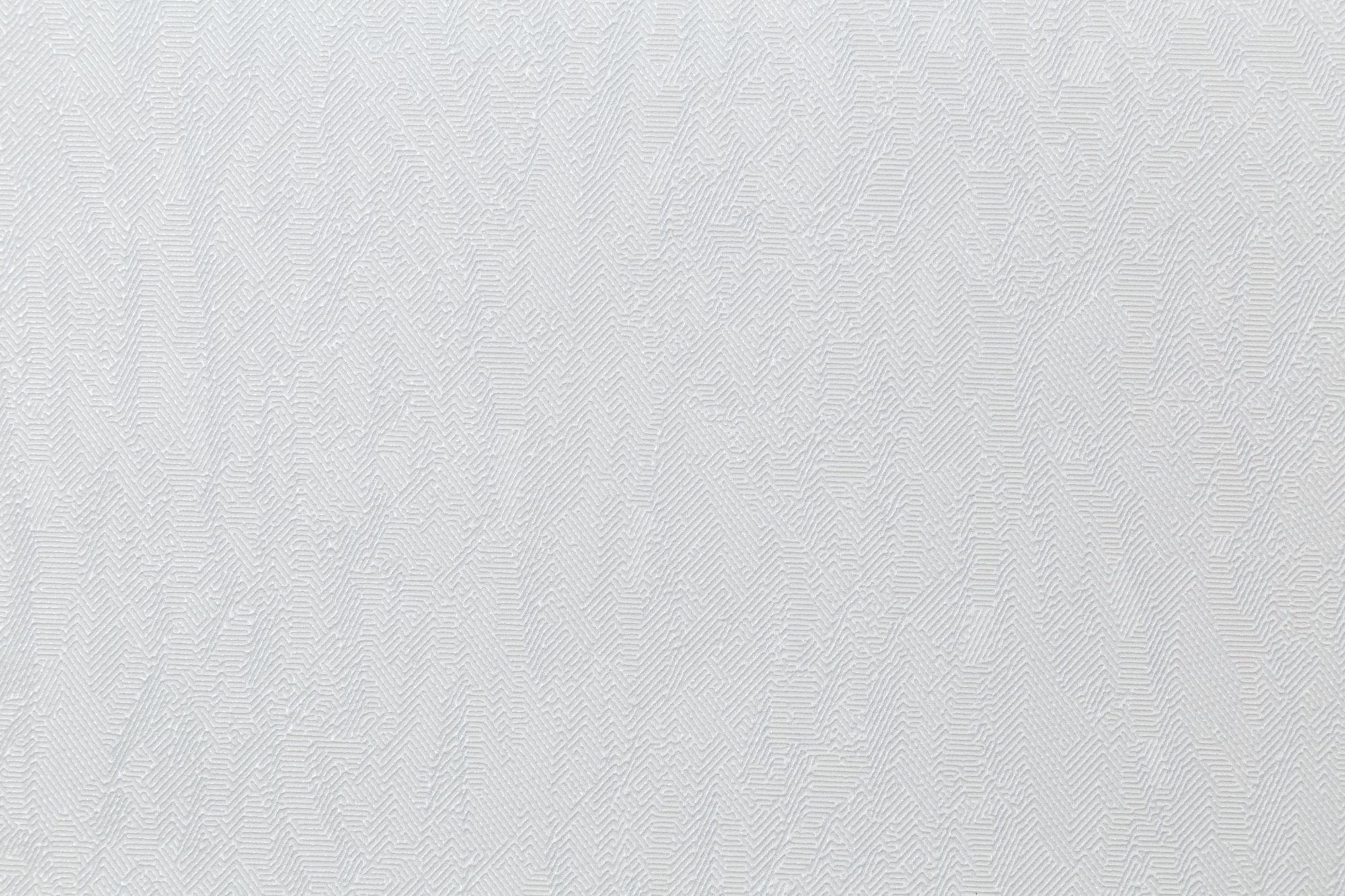 CAT_MACRO_PHOTObI_HC31236-14_(2)