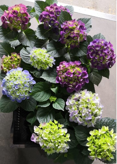 Снимок экрана 2024-04-12 112546