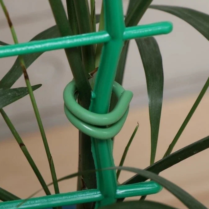 Снимок экрана_8-7-2025_163147_market.yandex.ru