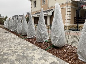 Рисунок4
