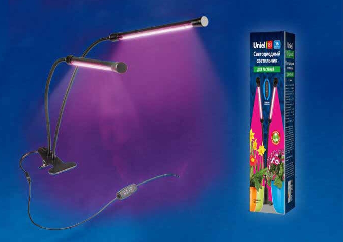 Снимок экрана_7-1-2025_94037_www.vamsvet.ru