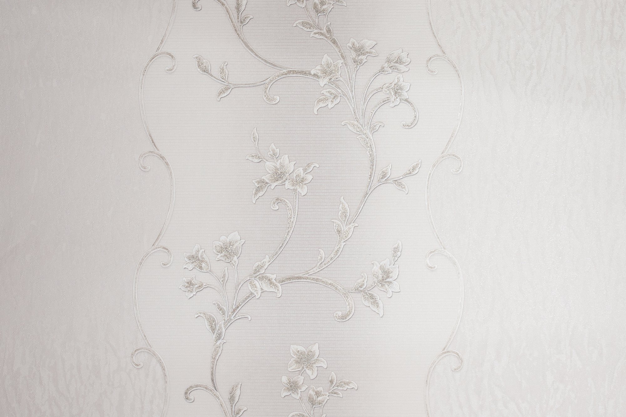 CAT_MACRO_PHOTOvI_HC31235-21_(1)