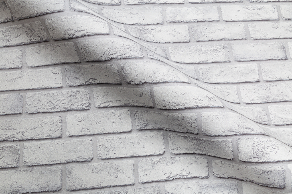 CAT_MACRO_PHOTOuIMG_SP71809-41_(4)