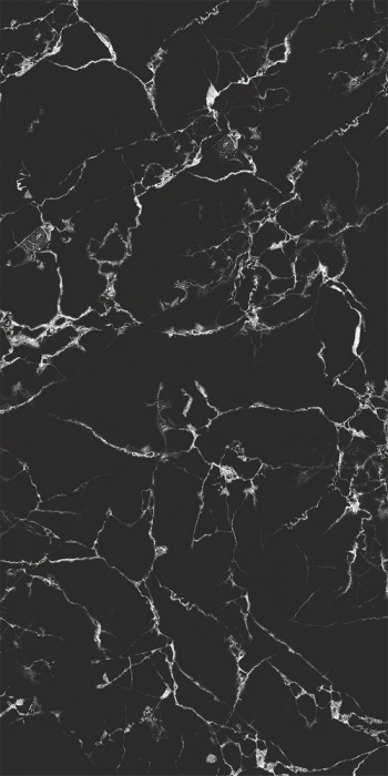 prx9661ys0jg4l5bluhm1efkinpytsk1