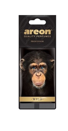 Снимок экрана 2025-09-26 091949