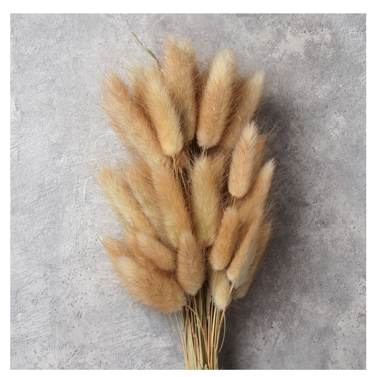 Снимок экрана_2-4-2025_153625_galeontrade.ru