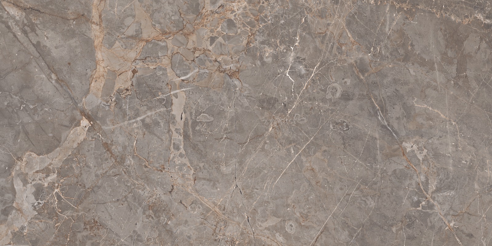 MILTONIA GREY P1 (1)