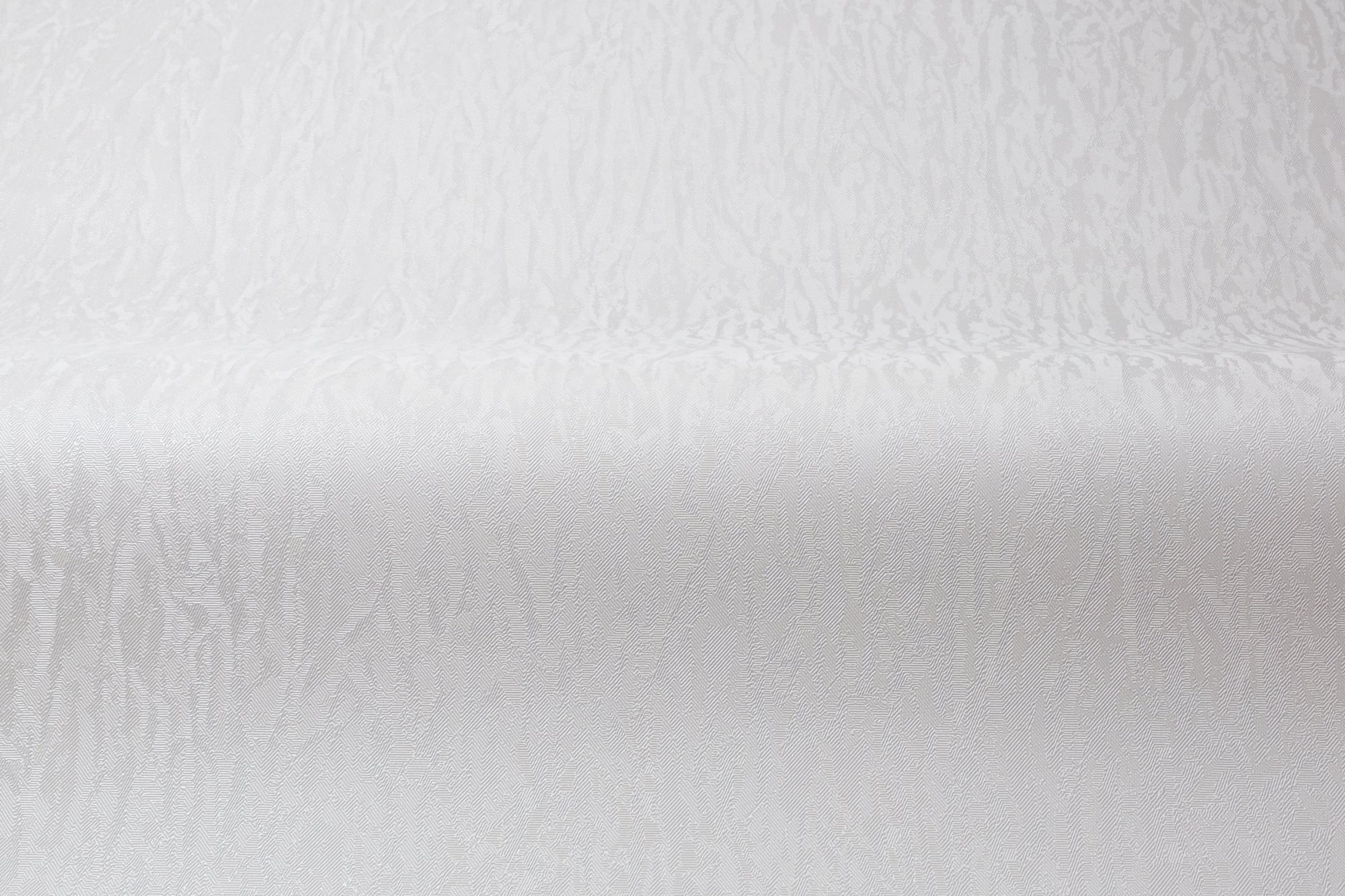 CAT_MACRO_PHOTOnI_HC31236-24_(3)