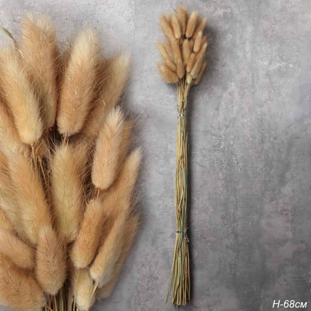 itlq3ybf81om46oxf76yw9yg4g3poiox