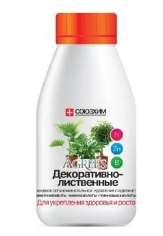 Снимок экрана 2025-06-09 090229