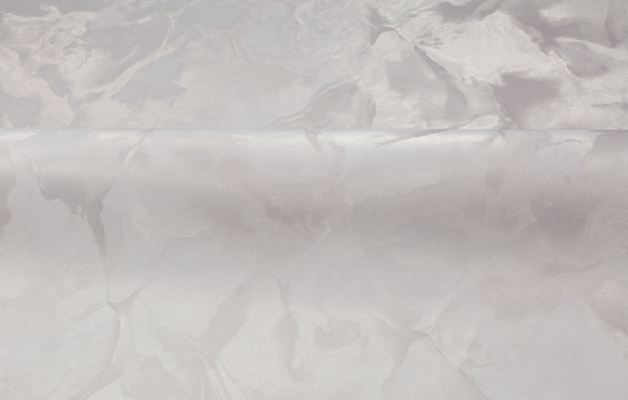 CAT_MACRO_PHOTOsI_HC72371-48_(3)