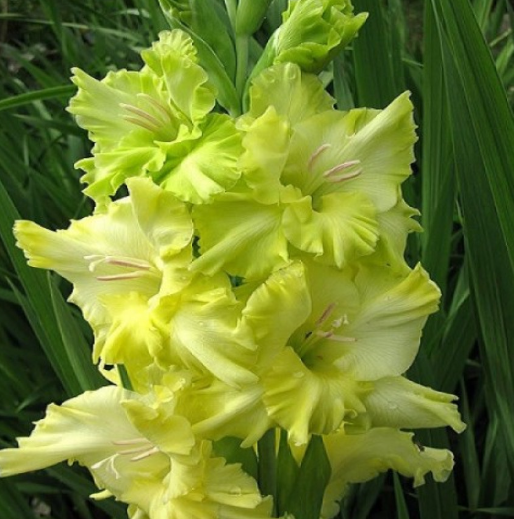 Снимок экрана 2025-02-18 085045