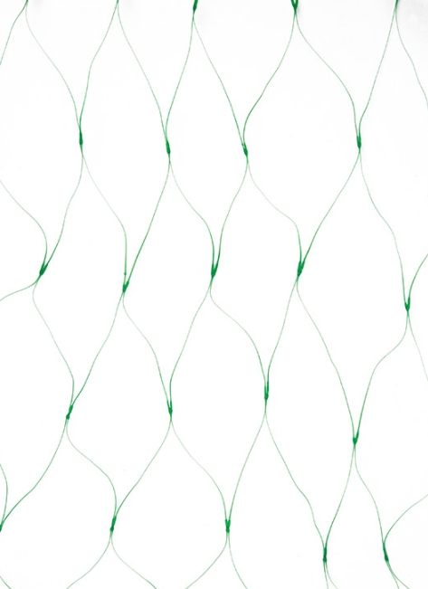 Снимок экрана_8-4-2025_95231_skrap.ru