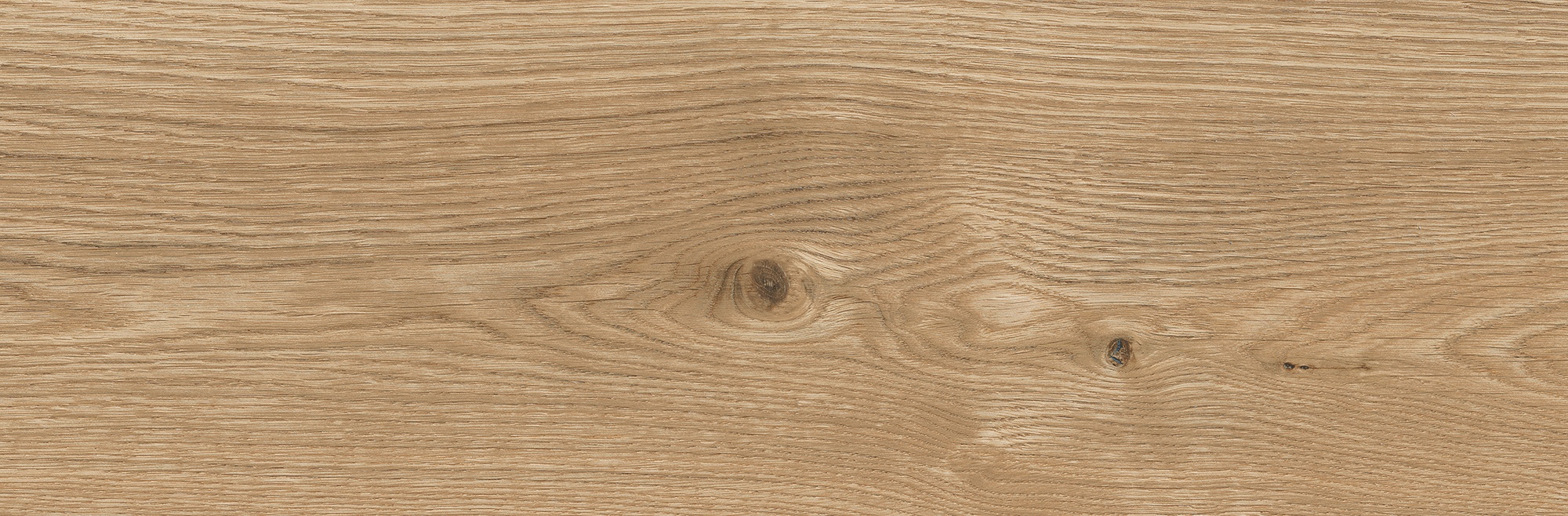 btsqvrb6j8y2g1b6l9l25s1uw2dov7p5