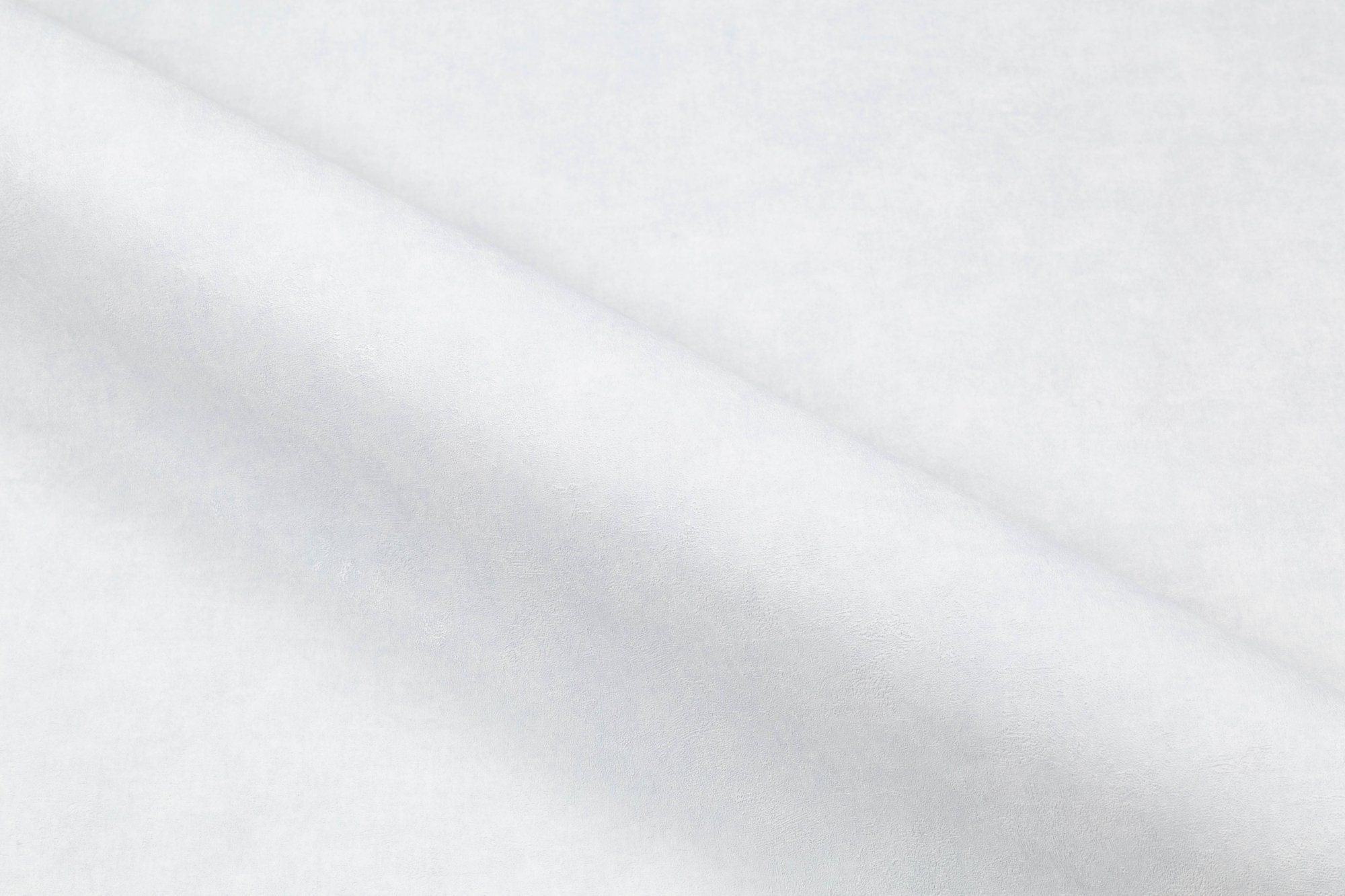 CAT_MACRO_PHOTOpi_HC72317-14_(4)