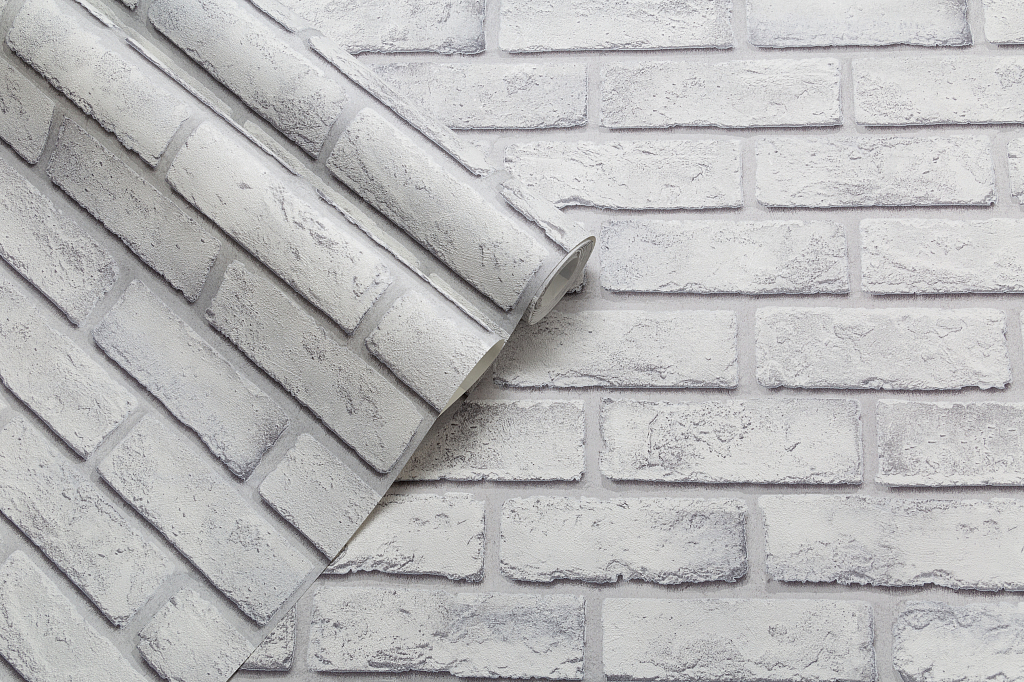 CAT_MACRO_PHOTOzIMG_SP71809-41_(5)